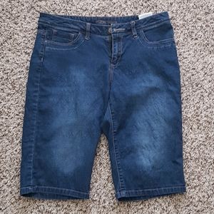 2/10$ Dark Blue Jean short